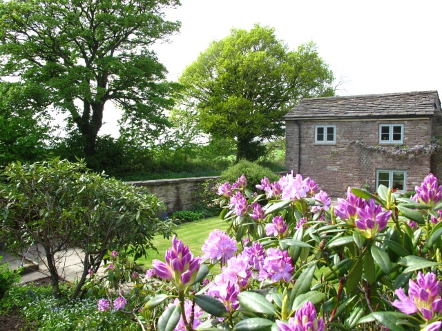 The image captures a charming view of the cottage surrounded by lush greenery and flowering plants. Bright pink rhododendrons bloom in the foreground, while a stone wall and mature trees provide a natural backdrop. The cottage features several windows, inviting ample natural light.