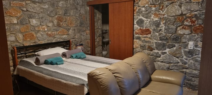 Chumba kikubwa cha kulala kilicho na choo cha ziada