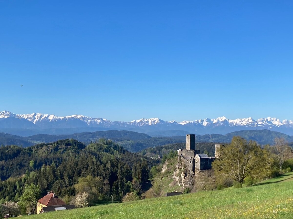 A stunning view of the medieval Burg Liebenfels is captured against a backdrop of distant snow-capped mountains. Lush green hills and trees surround the area, showcasing a serene landscape under a clear blue sky, highlighting the natural beauty of the region.