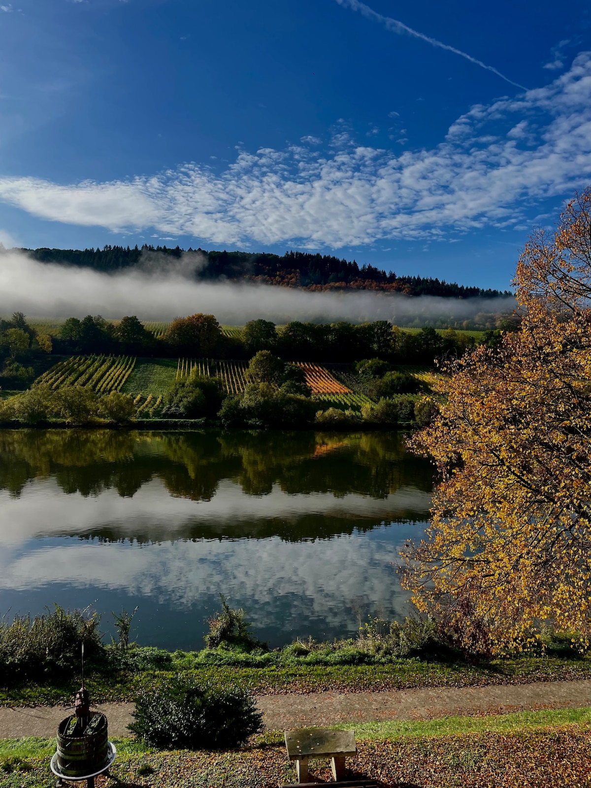 A serene view of the Mosel River is captured, reflecting the lush vineyards along the banks. Gentle fog hovers over the hillside, framed by vibrant autumn foliage. The clear blue sky adds to the tranquil ambiance of this picturesque landscape.
