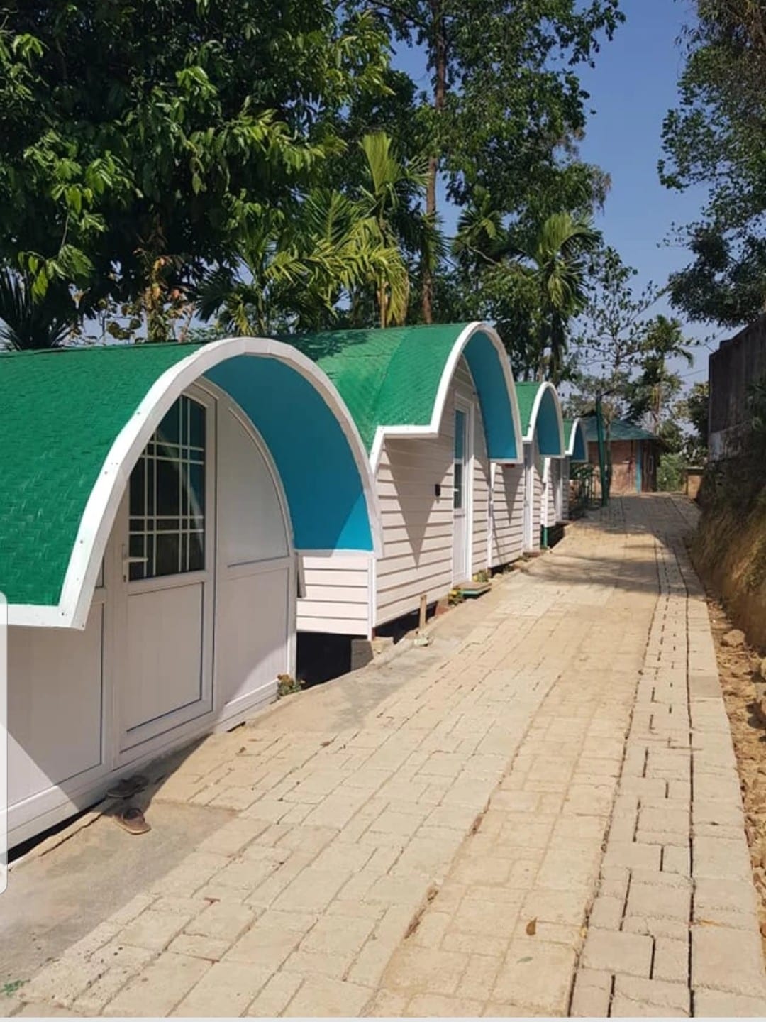 A row of charming cabins is arranged along a paved walkway. Each cabin features a curved roof in green and blue hues with windows framed in white. Lush greenery surrounds the area, contributing to a serene outdoor environment.