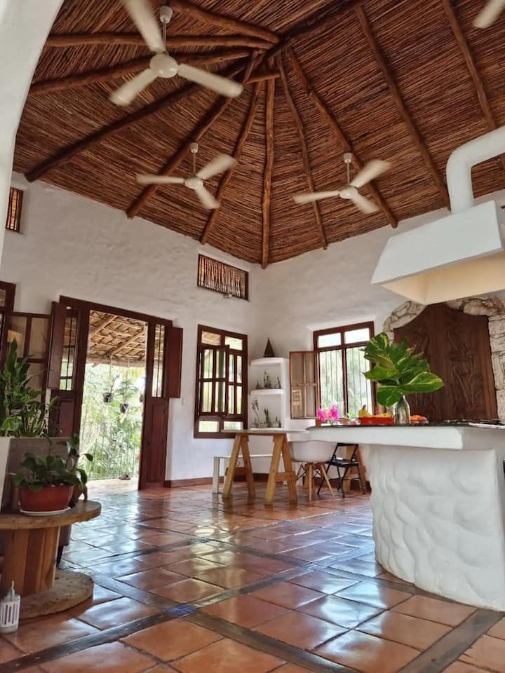 Cozy Single Room In A Tropical Villa In Downtown - Cancún