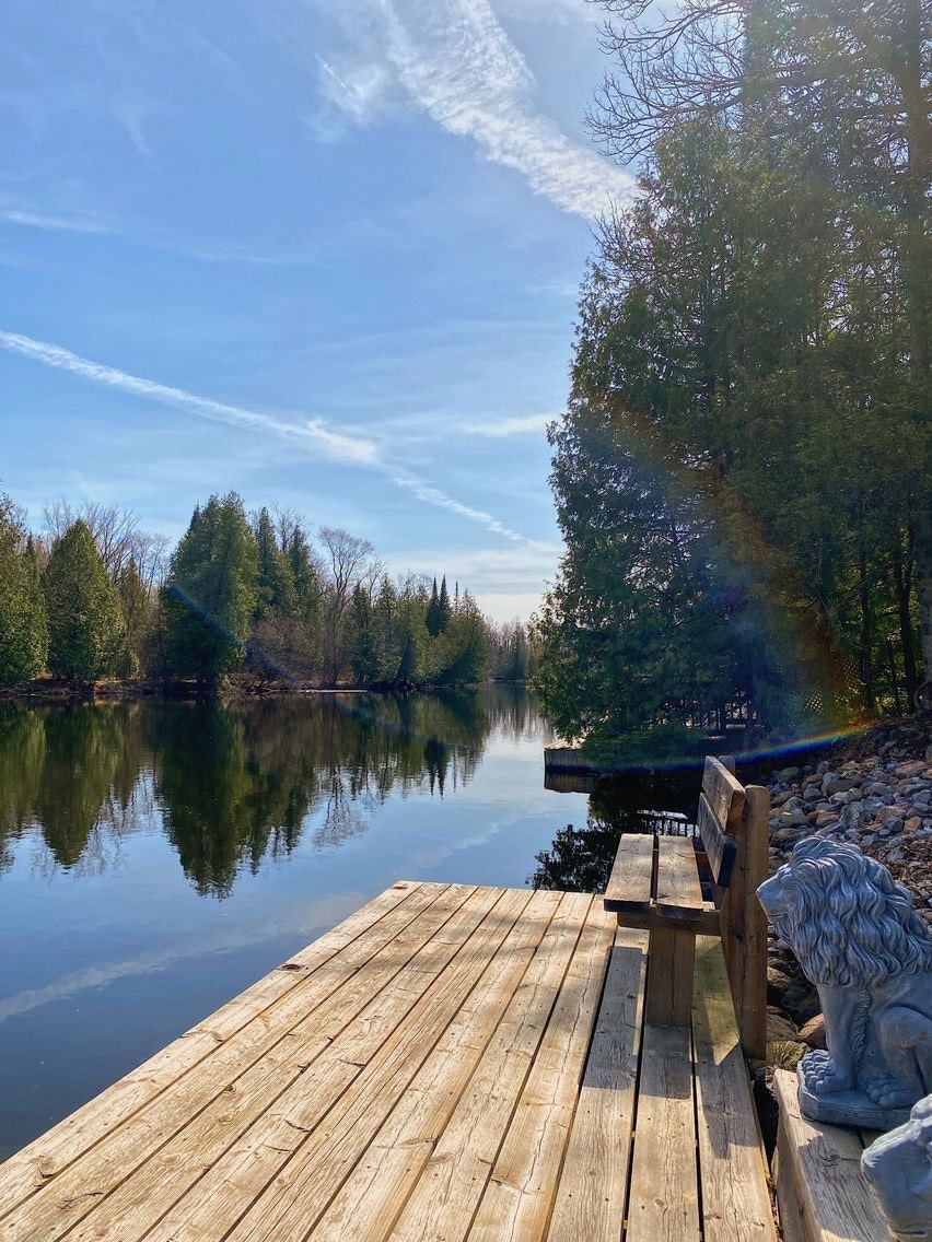 A wooden dock extends over calm waters, reflecting greenery from surrounding trees. A bench is positioned on the dock, accompanied by a stone lion statue nearby. Blue skies are visible above, with wispy clouds creating a serene atmosphere.