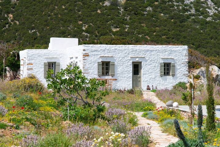 Sifnos Themonies gallery image 2