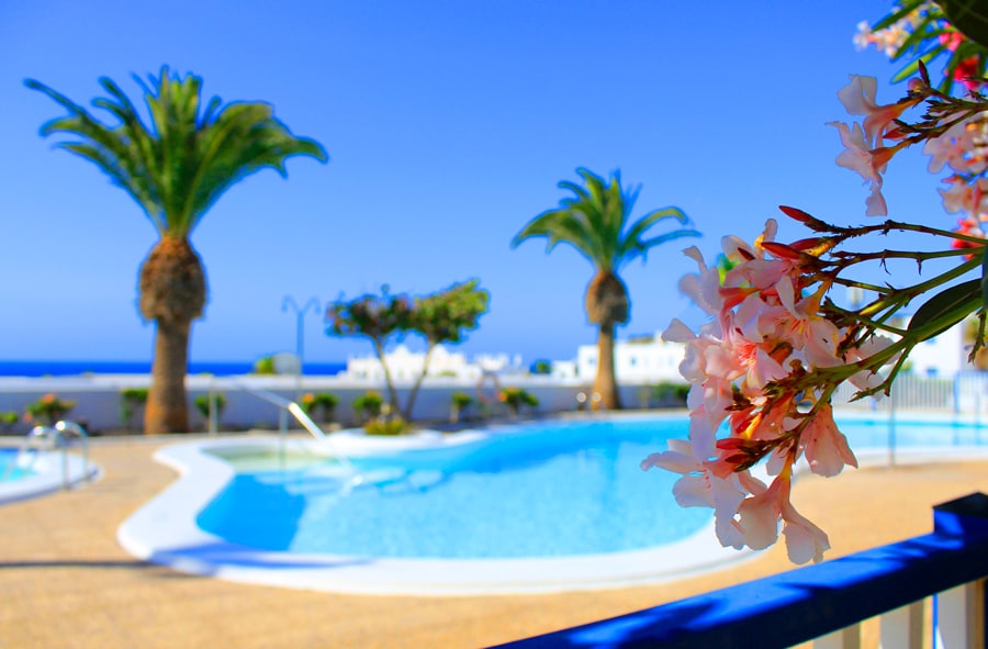 A serene pool area is framed by palm trees and vibrant flowers. The crystal-clear water reflects the azure sky, creating a peaceful outdoor environment. Sun loungers and greenery are visible in the background, enhancing the inviting atmosphere of the shared space.