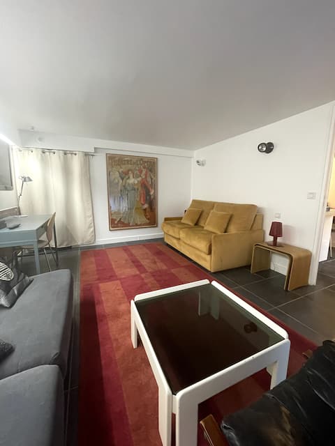 Large studio with a terrace