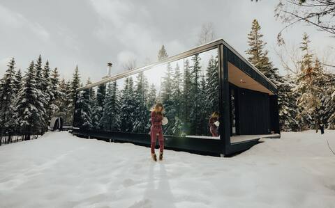 Reflection - Mirror houses - Charlevoix
