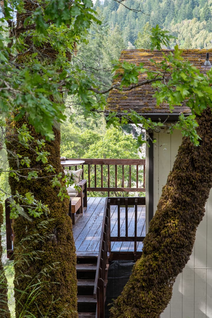 Trees frame the studio exterior and deck at Dark Fairy Farm