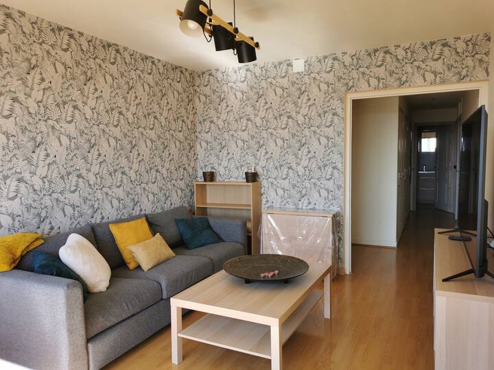 Superbe Appartement Lumineux - 67 M 2 -Parking Ext - Rouen