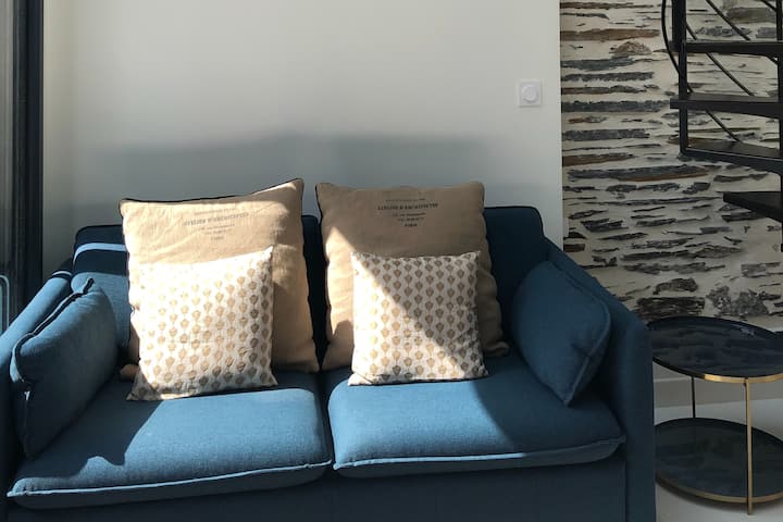 Duplex Climatisé De Clément - Angers
