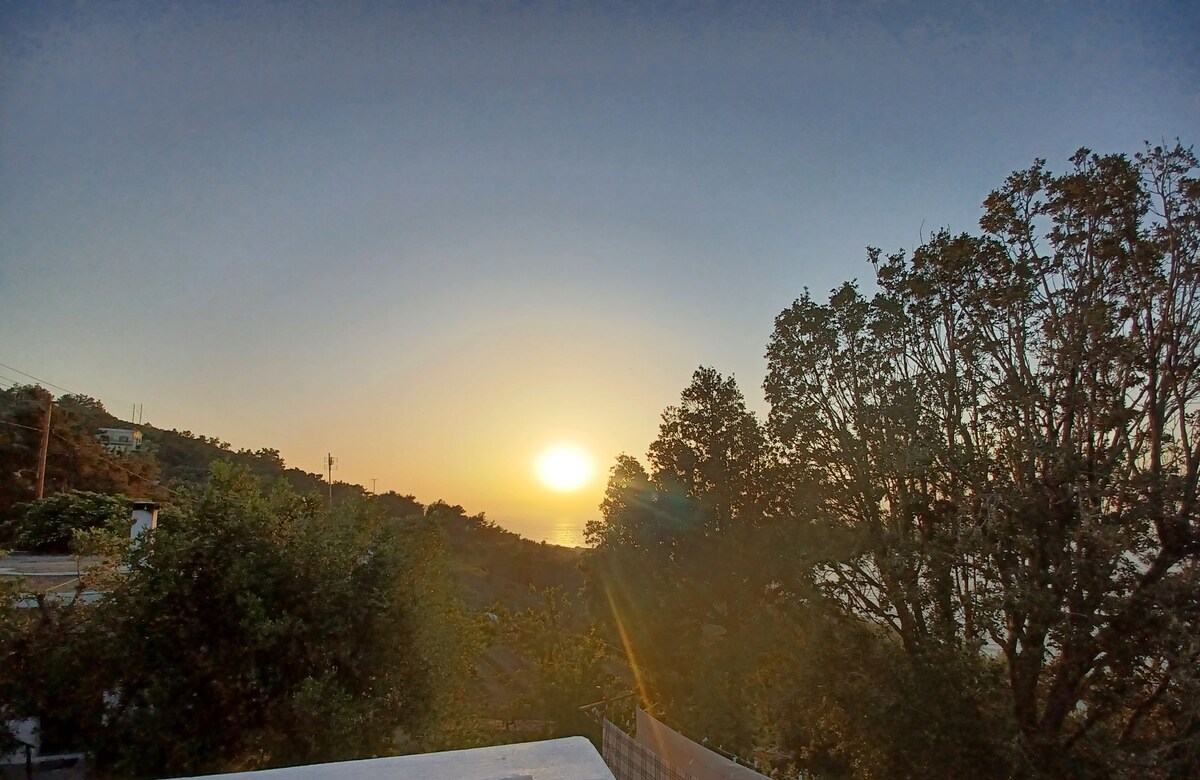 A tranquil view captures the sun rising over a hillside, surrounded by trees and vegetation. The soft glow of morning light enhances the landscape, with a clear sky transitioning from dark to light hues. The scene conveys a serene start to the day.