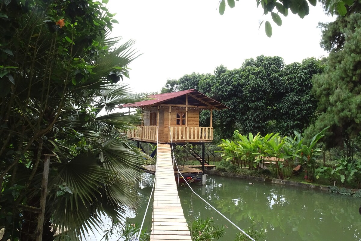 A wooden treehouse is positioned on stilts above a calm natural pool, connected by a suspended bridge. Lush greenery surrounds the structure, with palm leaves and tropical plants visible. The serene environment enhances the feeling of immersion in nature.