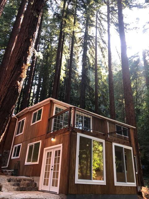 King Suite Cabin | Santa Cruz Mountains