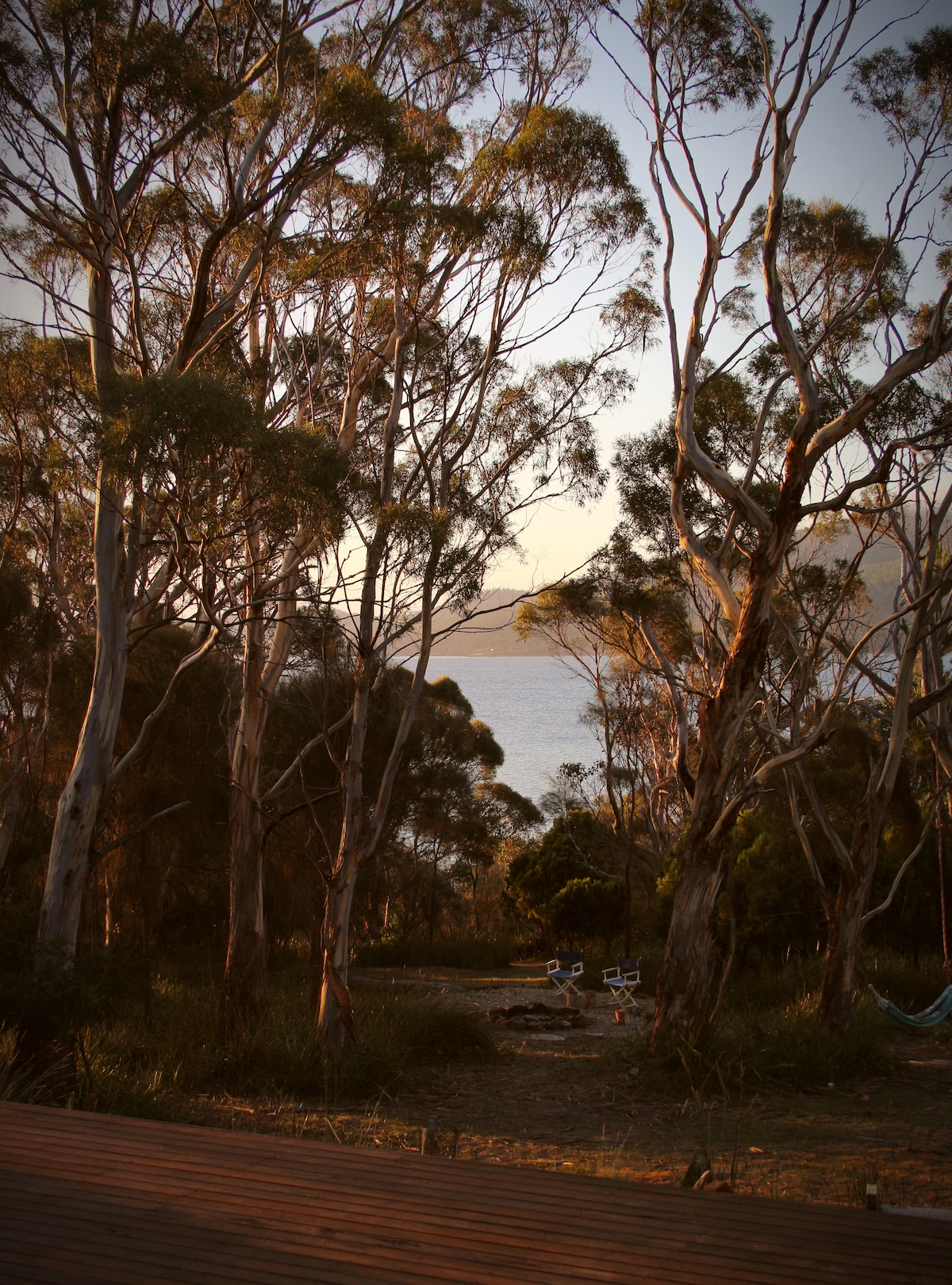 A serene view is presented through tall eucalyptus trees, framing a glimpse of water in the distance. The soft evening light casts gentle shadows, enhancing the natural beauty of the bushland. A fire pit with seating is visible, inviting moments of relaxation.