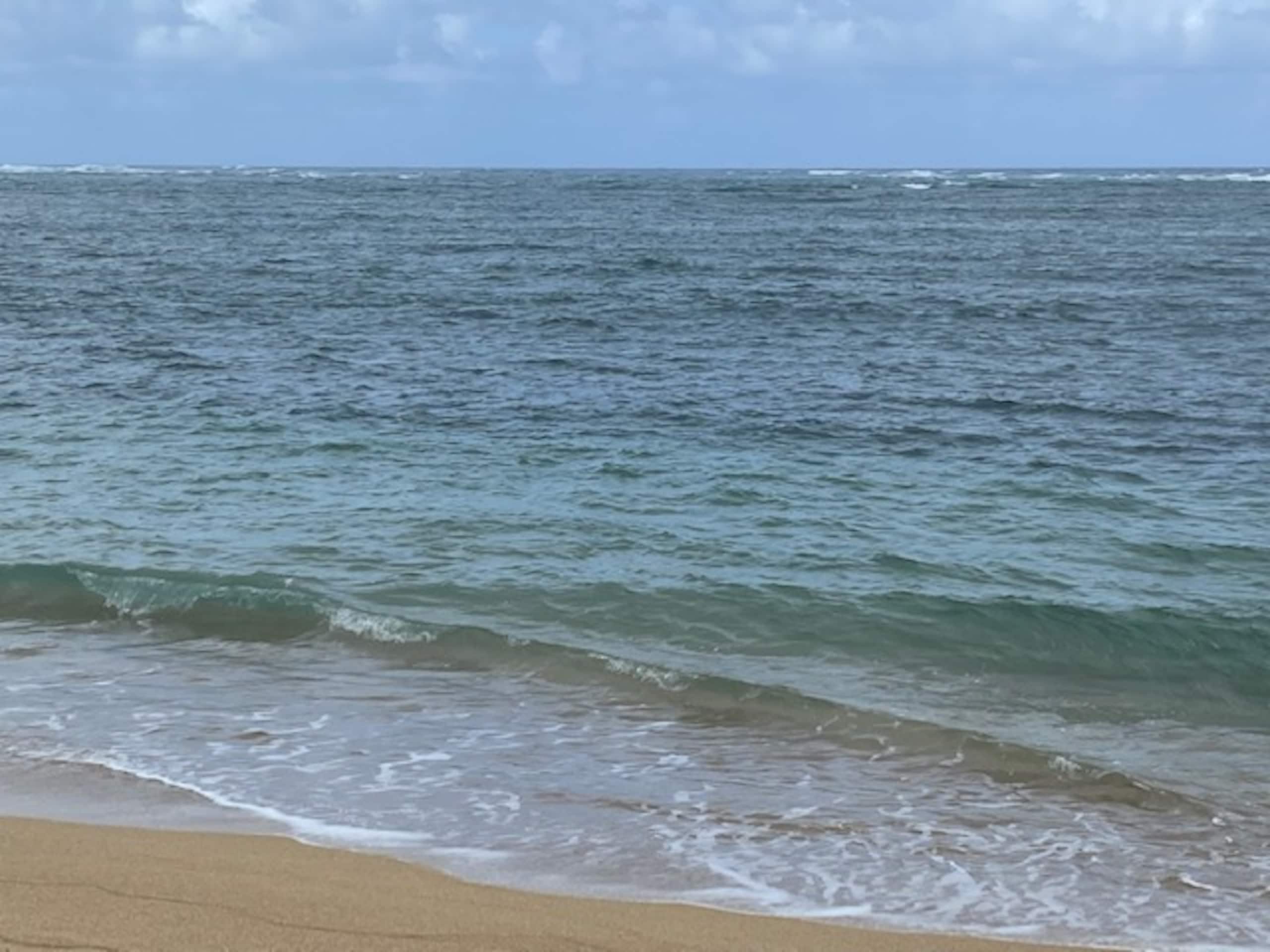 Condo in Hauula · ★4.88 · Studio · 3 beds · 1 bath - Image 37