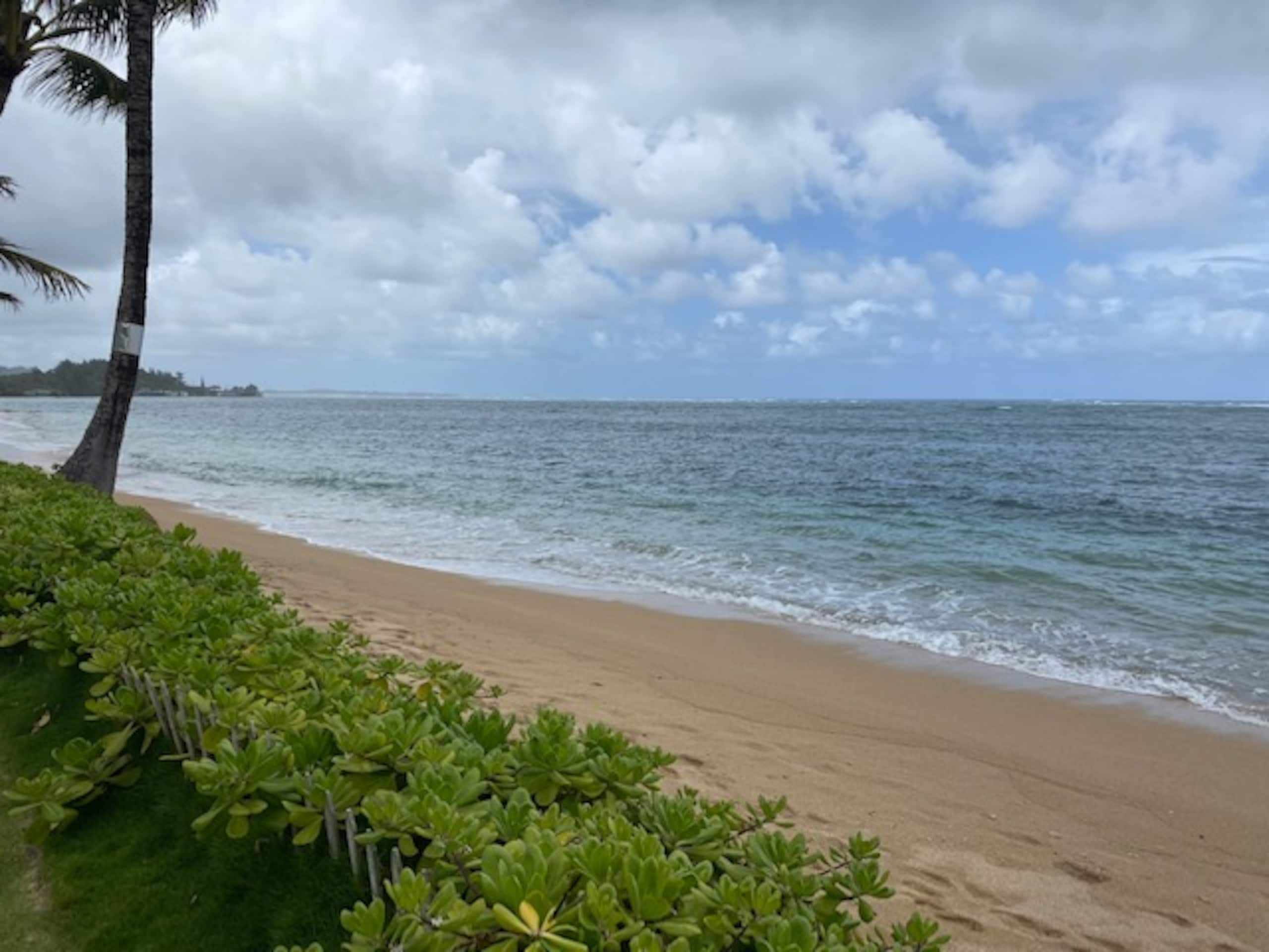 Condo in Hauula · ★4.88 · Studio · 3 beds · 1 bath - Image 39