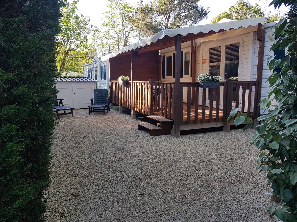 A charming mobile home is situated on a gravel path, featuring a wooden deck with railings. Potted plants adorn the entrance, and a few outdoor chairs are positioned nearby, providing a welcoming outdoor space surrounded by greenery.