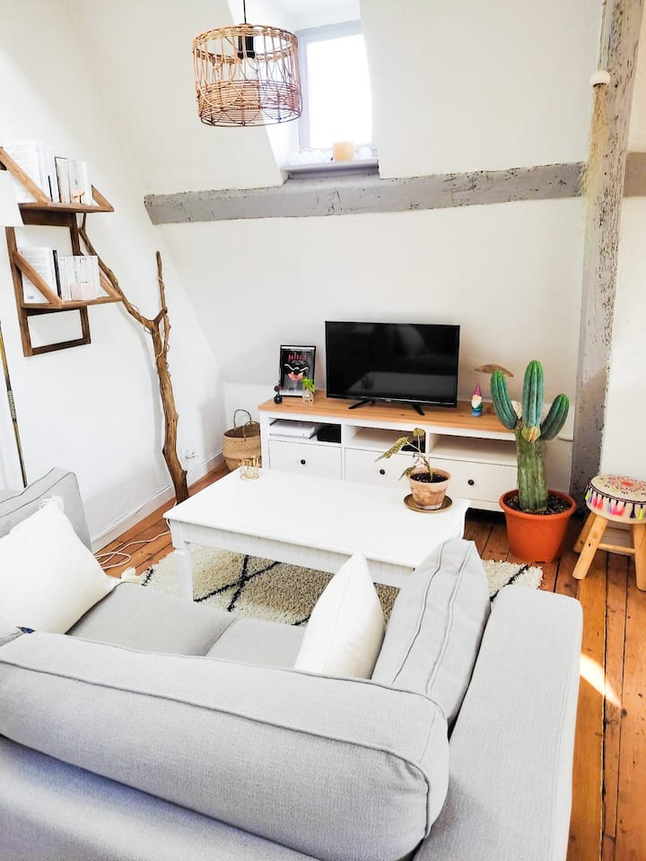 Appartement Cocooning Dans Le Centre Historique