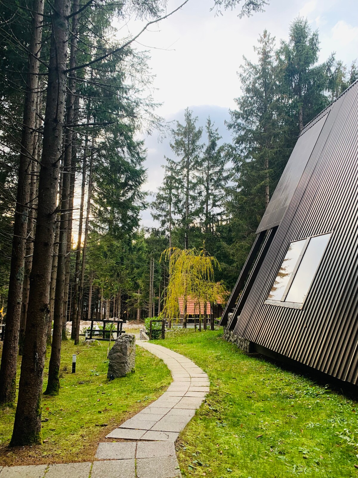 A winding stone pathway is bordered by tall pine trees, leading to a modern, asymmetrical structure nestled amongst the greenery. The building's exterior features dark wood panels and large windows, reflecting the surrounding forest and the gentle light of the early evening sky.