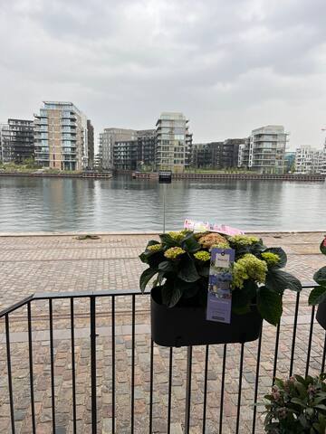 Exclusive place Copenhagen city center gallery image 4