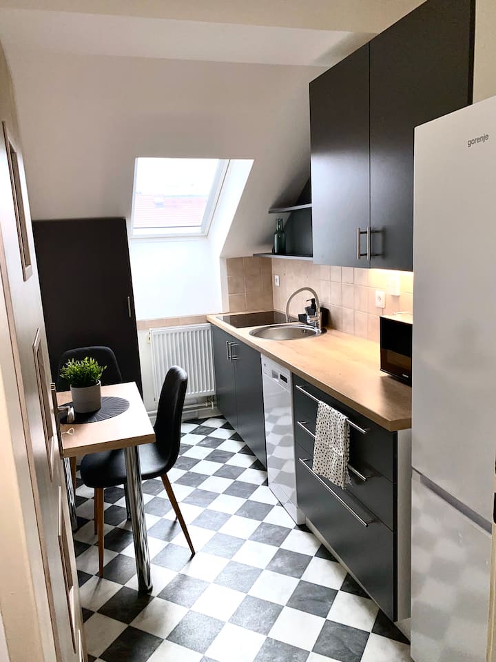 Cozy Apartment 3 In The Heart Of The City - Praga