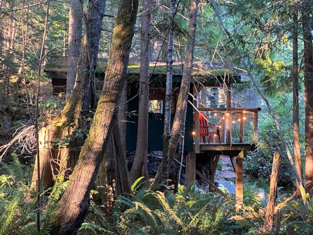 British Columbia Treehouse Vacation Rentals - Canada | Airbnb