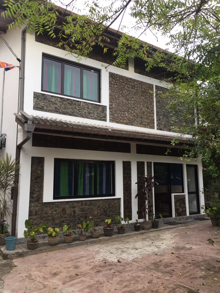 The exterior of the building features a combination of stone and white walls, providing a modern yet natural look. Large windows allow light to fill the space, while a variety of potted plants are arranged along the front. A tree canopy offers shade and enhances the tranquil setting.