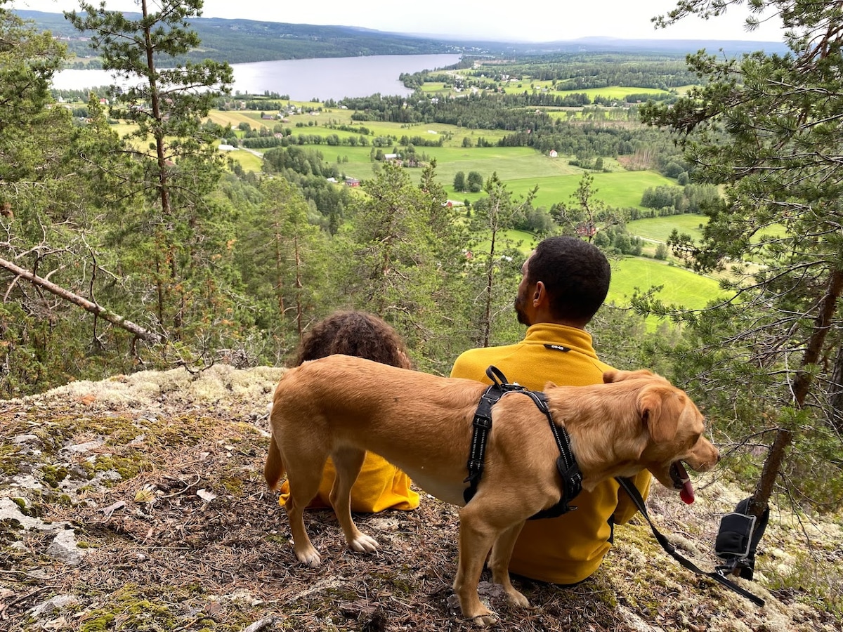 A scenic viewpoint reveals expansive green landscapes and a winding lake below. A person and a child are seated on a rocky outcrop, accompanied by a dog wearing a harness. The gentle slopes and varied foliage create a natural, inviting atmosphere.