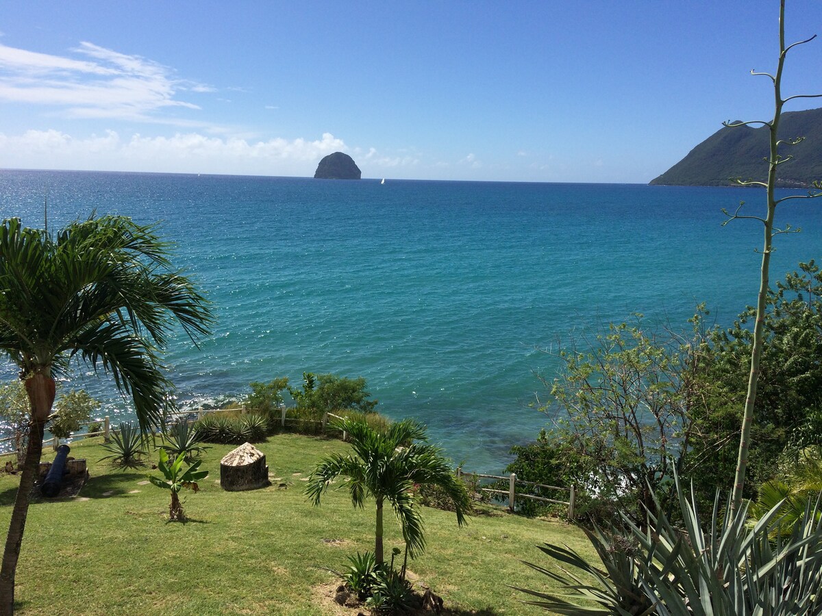 A scenic view of the ocean presents varying shades of blue, with gentle waves lapping against the shore. In the foreground, greenery including palm trees can be seen, while a rocky island rises from the water in the distance, framed by lush hills on either side.