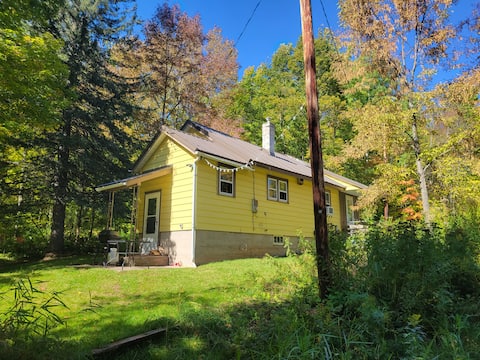 Cabin on 25 Acres of Forest