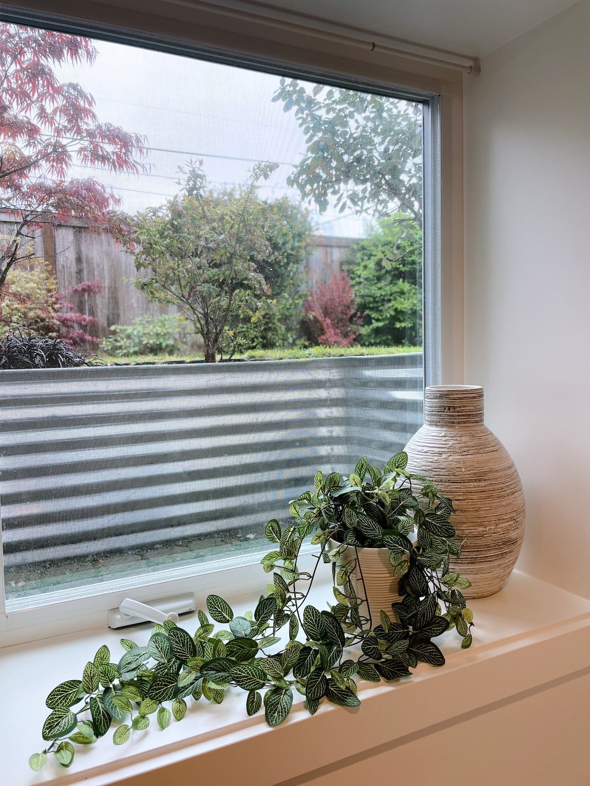 Cozy+Modern Suite in North Queen Anne