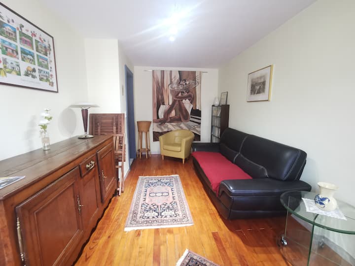 Appartement 3 Pièces Face Aux Thermes Napoléon - Plombières-les-Bains