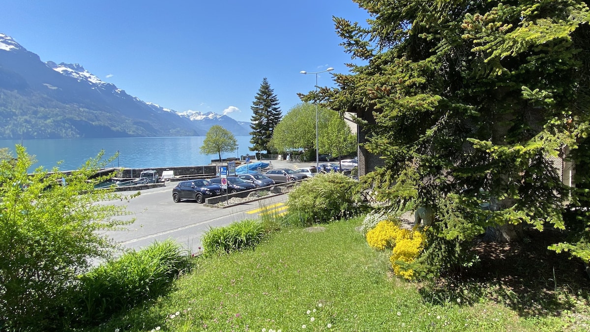 A scenic view of a lake surrounded by mountains is presented. Parking areas and a tree-lined waterfront are visible. Green grass and yellow flowering plants frame the image in the foreground, adding natural elements to the serene landscape.