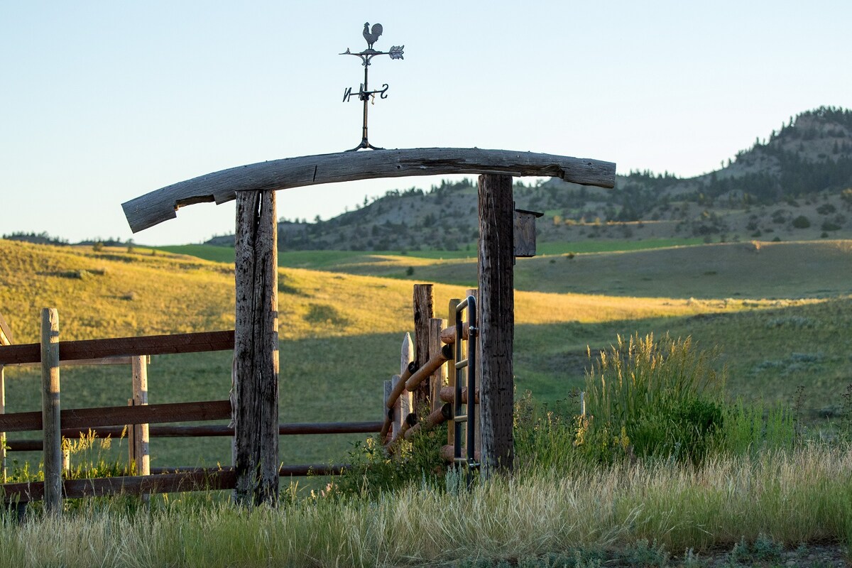 A rustic wooden entrance gate is set amidst a sweeping landscape of rolling hills. A weather vane atop the arch adds a charming touch, with tall grasses and wildflowers in the foreground. The early morning light casts soft shadows across the open field.