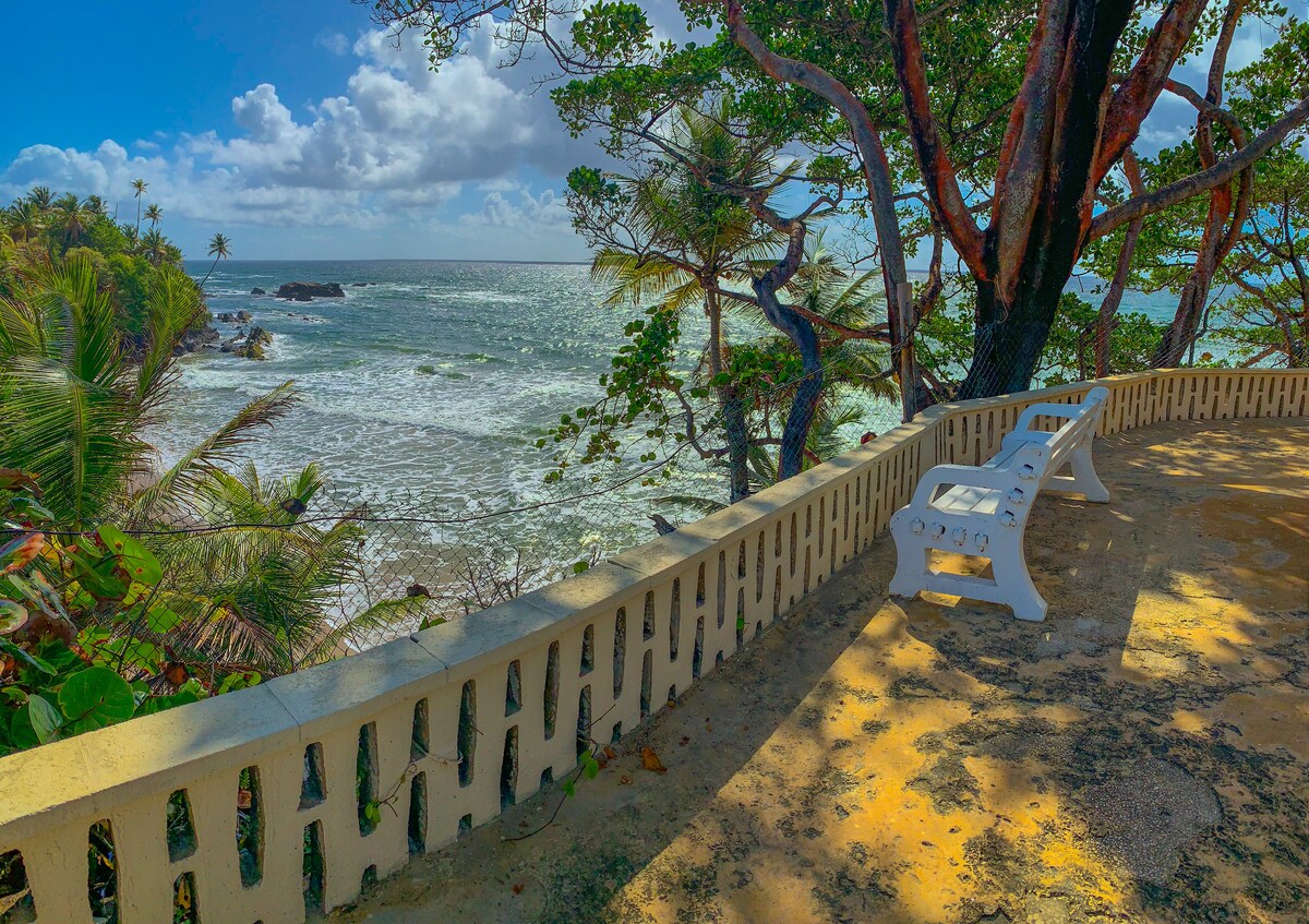 A white bench sits on a sandy terrace overlooking the ocean, framed by lush greenery. Gentle waves are visible along the shoreline, with trees providing shade and enhancing the serene coastal view under a partly cloudy sky.