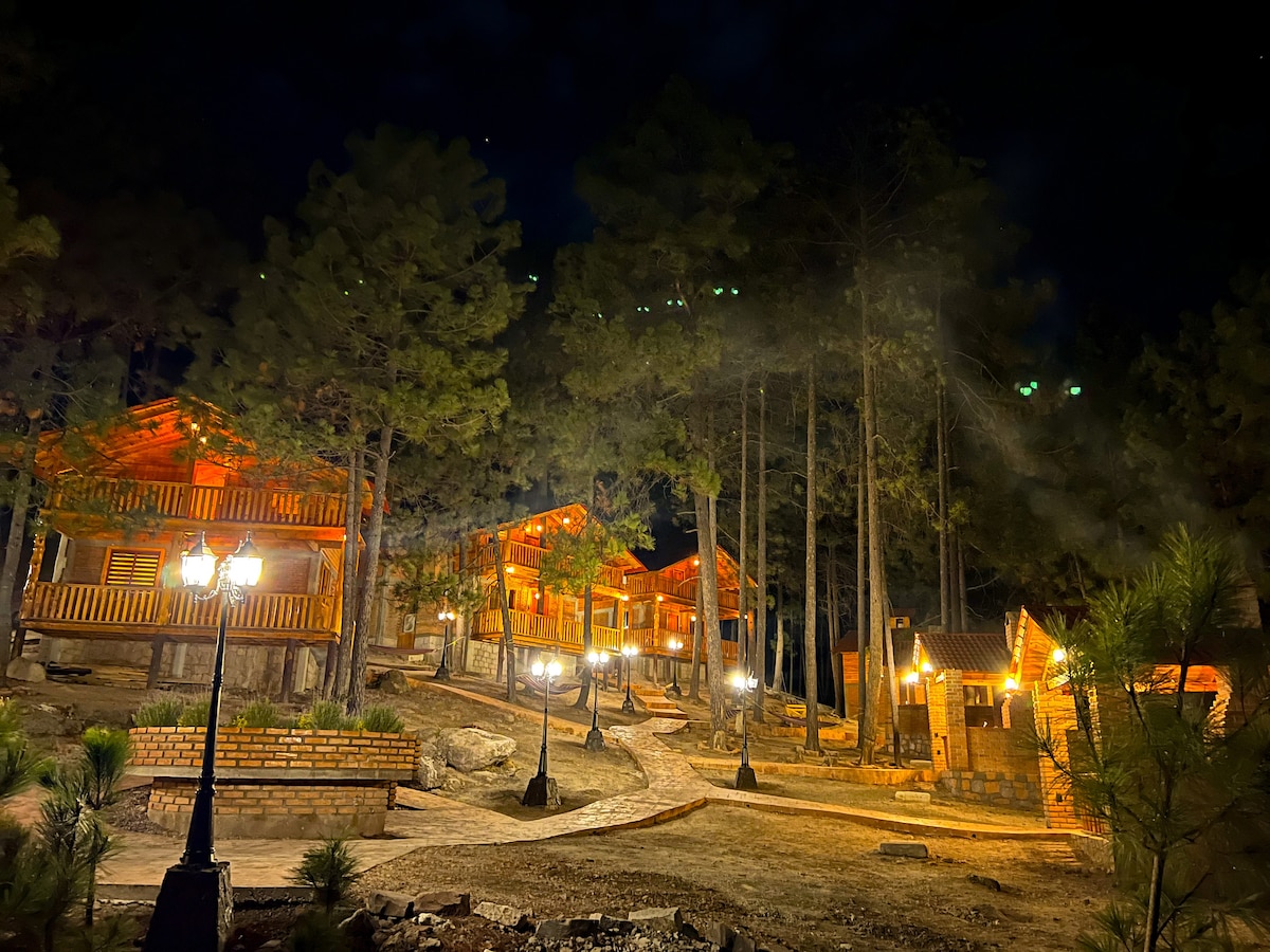 A cluster of cabins is illuminated under the night sky, surrounded by tall trees. Pathways are lined with soft lighting, leading through the natural landscape. The warm glow from the cabins creates a welcoming environment for guests.