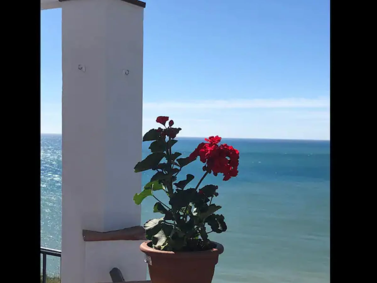 A potted red flower stands on a balcony railing, with the ocean stretching out in the background. The vibrant petals contrast with the calm blue water and clear sky, creating a serene coastal view.
