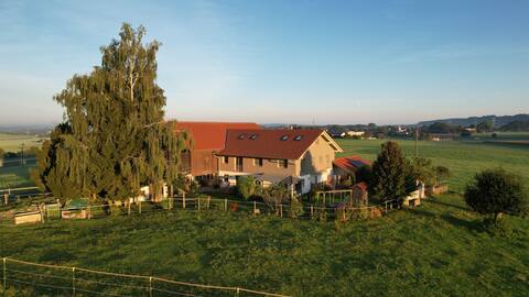 Countryside apartment