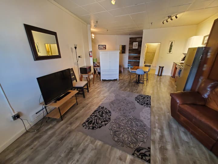 Downtown Modern Oversized Studio. - Montrose, CO