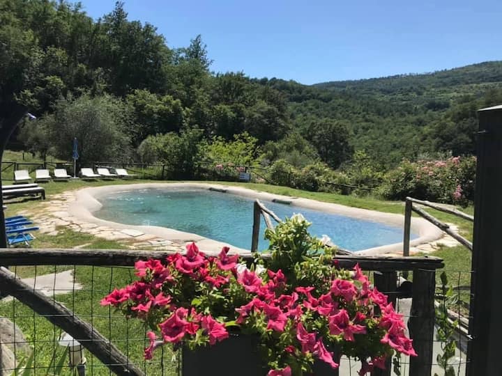 Agriturismo Vicino A Firenze Appartamento Il Bosco - Pontassieve