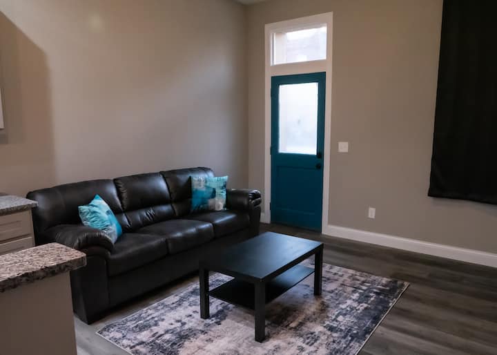 Travelers Welcome! Luxury One Bedroom Unit! - St. Louis, MO