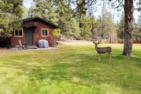 Cabin on quiet 3 acres 10 min to downtown Bend.