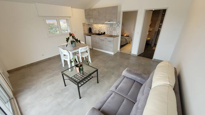 Appartement, Piscine, Randonnées Et Ski - Lac Léman