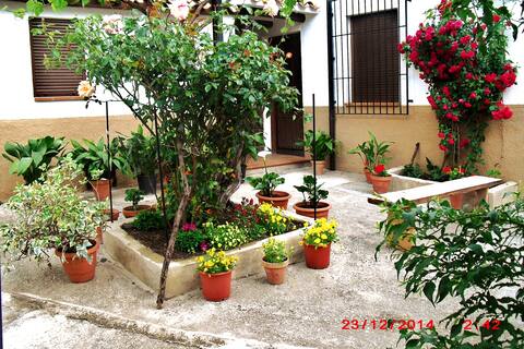 Boche Village