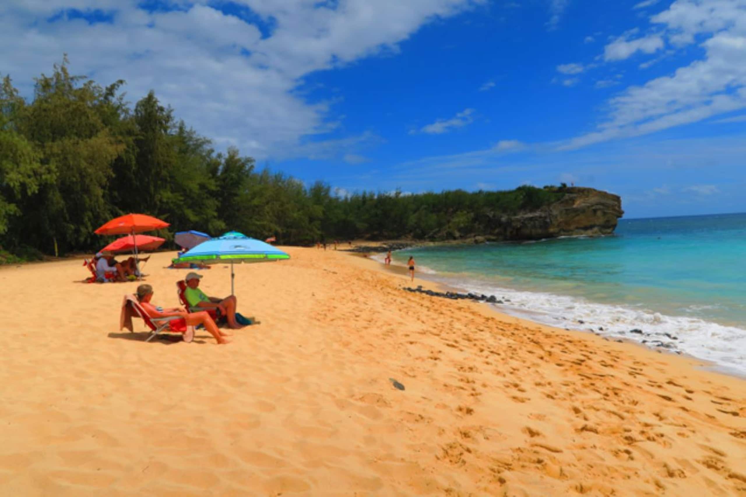 Love Nest Suite beside Grand Hyatt Poipu - Photo 9