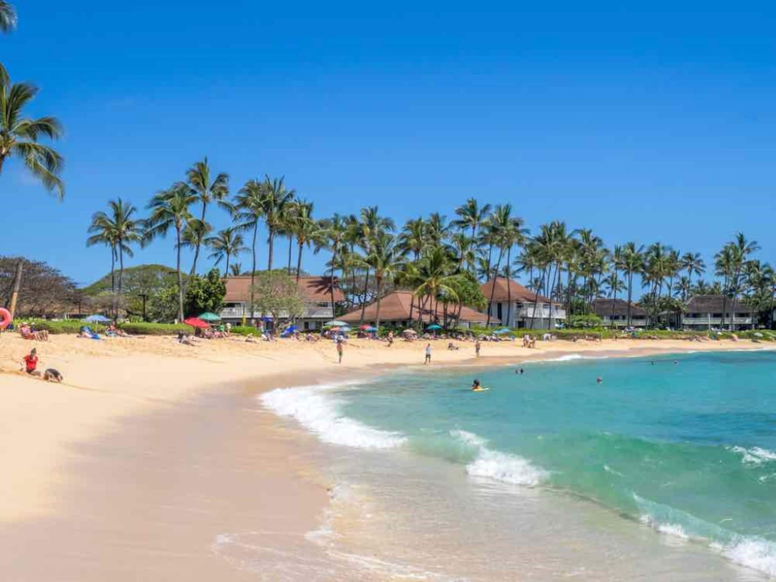 Love Nest Suite beside Grand Hyatt Poipu - Photo 14