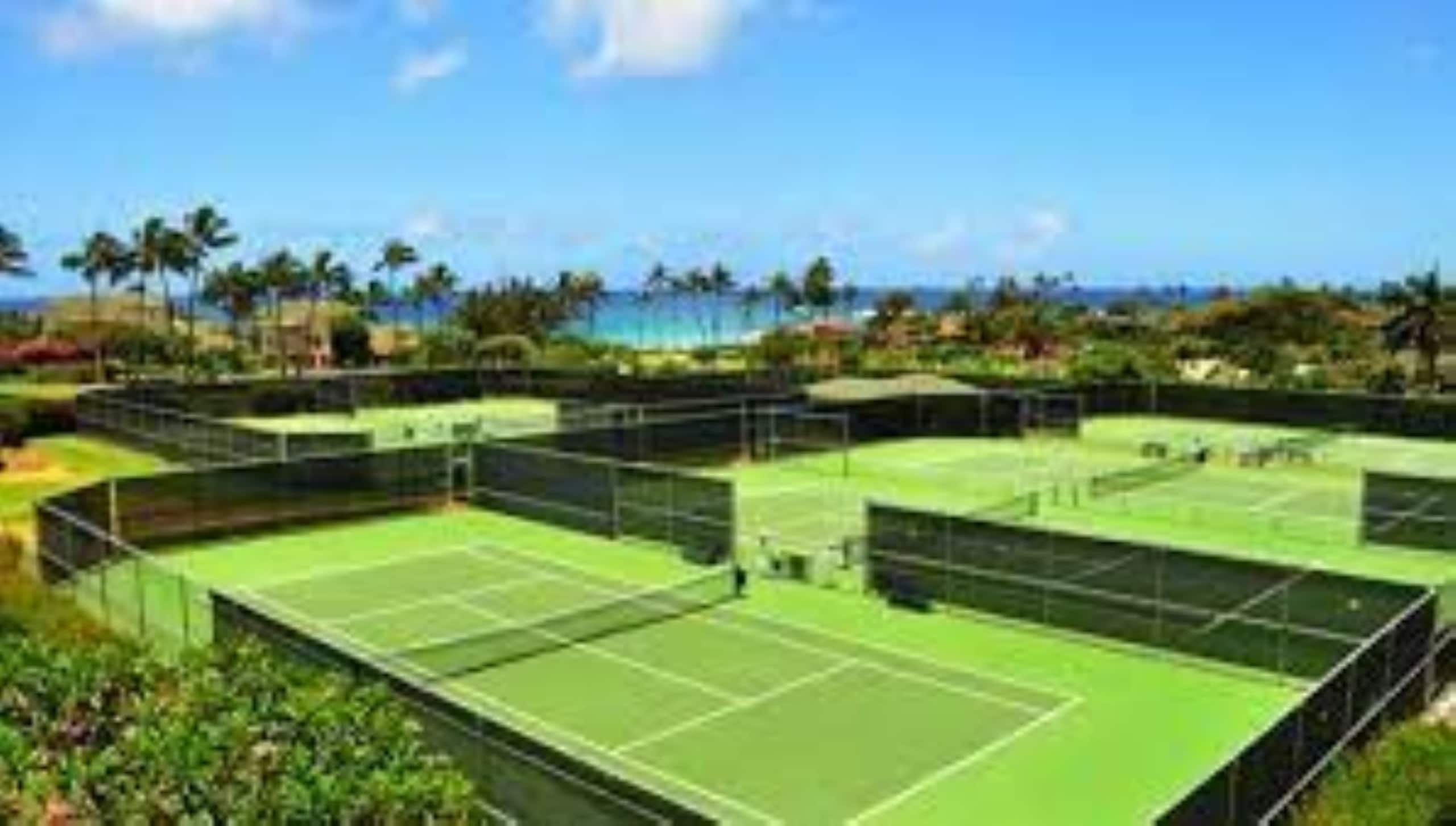 Love Nest Suite beside Grand Hyatt Poipu - Photo 11