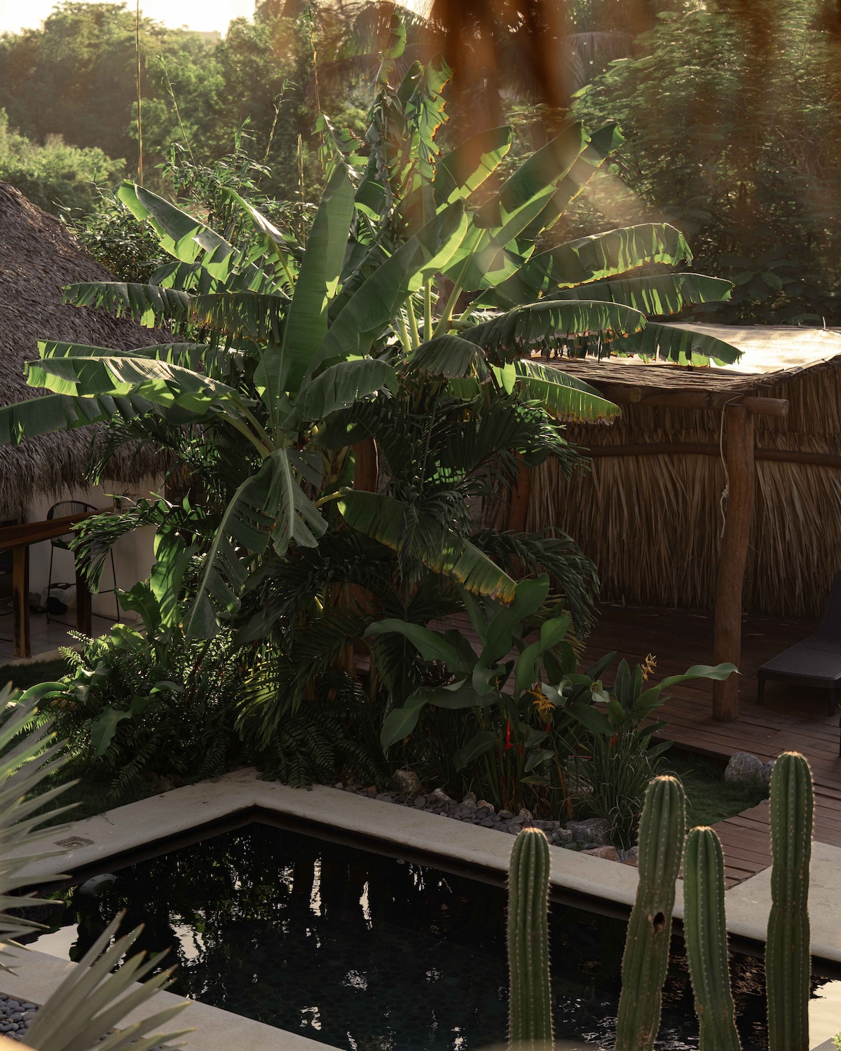 A lush banana plant dominates the foreground, with vibrant green leaves complementing surrounding tropical vegetation. A dark pool is visible next to the plant, framed by light-colored stone. A thatched roof structure is seen in the background, alongside a wooden deck amidst the greenery.