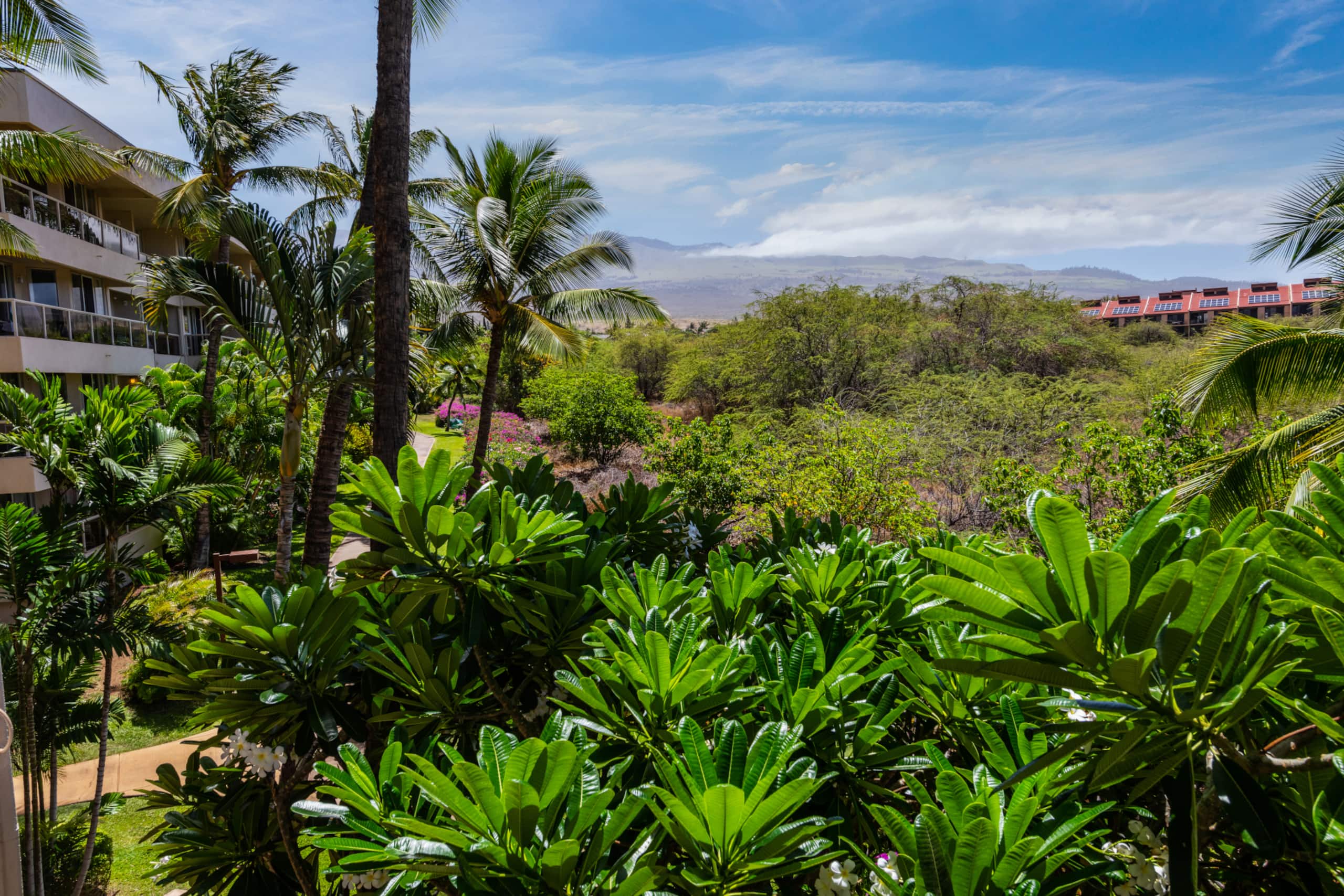 Condo in Kihei · ★5.0 · 1 bedroom · 2 beds · 2 private baths - Image 15