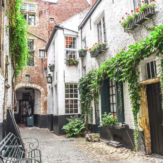 A charming narrow alleyway is framed by buildings with whitewashed walls and green accents. Flower boxes adorn the windows, adding a touch of color. Paved stones line the ground, and creeping vines add a natural element to the scene, enhancing the historic ambiance.